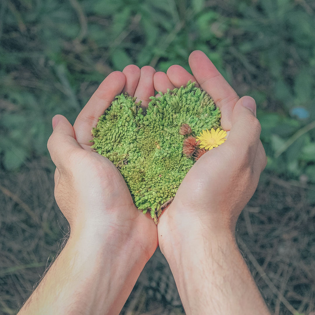 ¿Cómo el Ministerio de Ambiente mejora sus sistemas con servicios de AWS?